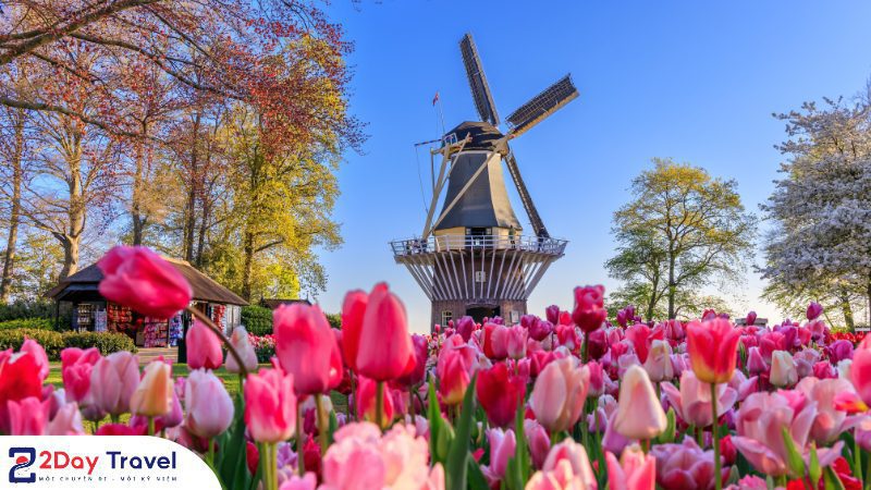 Review lễ hội Keukenhof: Lễ hội hoa rực rỡ nhất tại Hà Lan 19 Du lịch Hà Lan