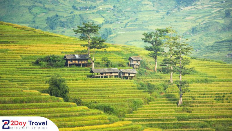 Du lịch Sapa: Hành trình chill cực đỉnh cùng Gen Z 17 Du lịch Sapa