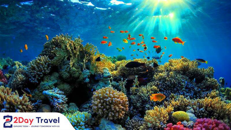 11 Tour trong ngày Nha Trang đáng đi nhất 2024 21 Tour trong ngày Nha Trang