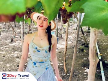 COMBO SIÊU TIẾT KIỆM – NHA TRANG – 3N2D 16 Combo3N2D-nhatrang-2daytravel