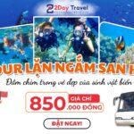 Tour Lặn Biển Ngắm San Hô – Nha Trang 18 Tour chèo Sup City 2Day Travel