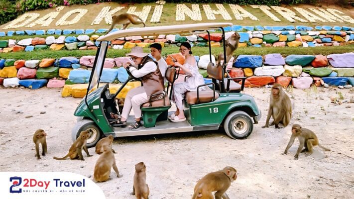 Nha Trang chơi gì? 30 Điểm đến du lịch HOT nhất của Nha Trang 38 Đảo Khỉ – Khám phá thế giới loài khỉ