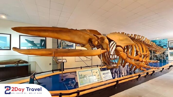 Nha Trang chơi gì? 30 Điểm đến du lịch HOT nhất của Nha Trang 26 Viện Hải Dương Học - đại dương thu nhỏ