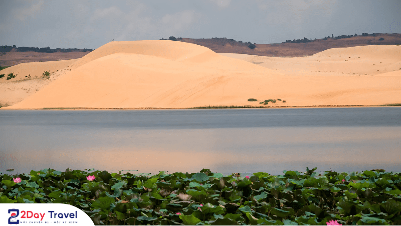 Top 10 địa điểm du lịch Phan Thiết không phải ai cũng biết 4 Địa Điểm du lịch Phan Thiết