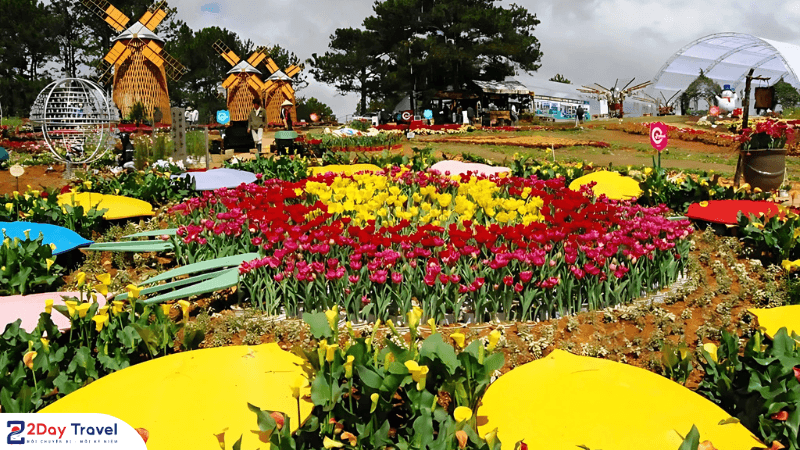 KHỞI ĐỘNG FESTIVAL HOA ĐÀ LẠT LẦN THỨ X - NĂM 2024 6 Festival hoa Đà Lạt