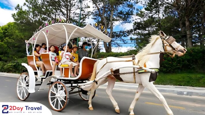 XE NGỰA TRÊN ĐÀ LẠT - PHỐ NGÀN HOA 9 Xe ngựa trên Đà Lạt phục vụ khách du lịch