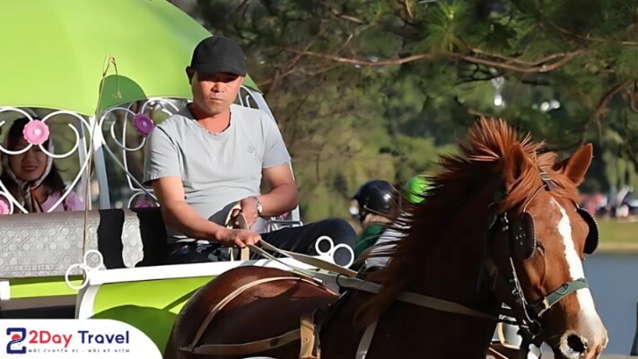 XE NGỰA TRÊN ĐÀ LẠT - PHỐ NGÀN HOA 8 Miền đất của những chiếc xe thổ mộ