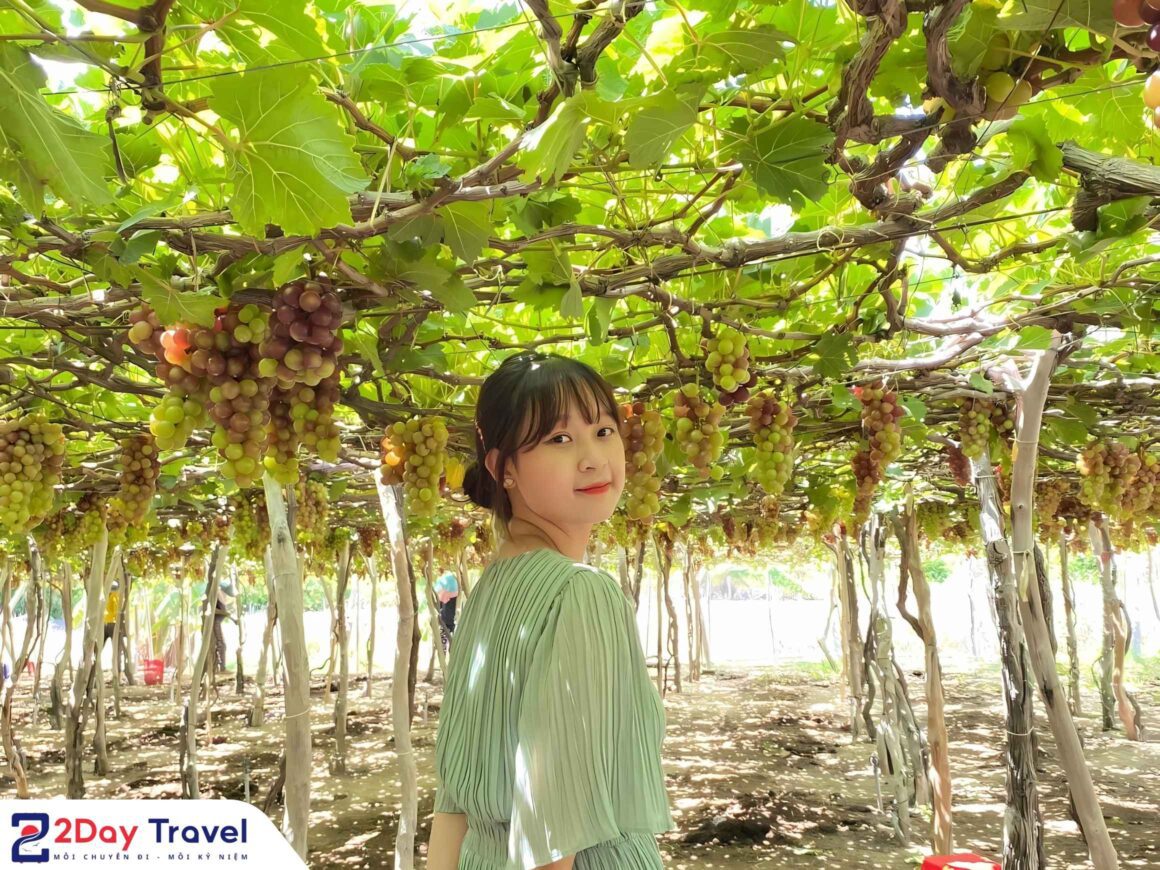Tour trọn gói Nha Trang Vĩnh Hy 2n1d 2Day Travel