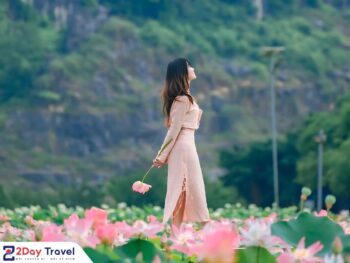 Tour Bái Đính - Tràng An - Hang Múa | Hà Nội - Ninh Bình (Trong ngày) 19 Tour Hà Nội - Ninh Bình (Bái Đính - Tràng An - Hang Múa)