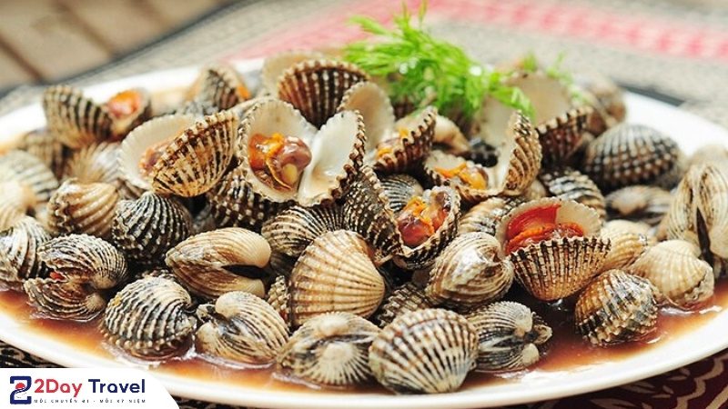 Nha Trang ăn gì? Ăn chơi ‘chuẩn vị’ với TOP đặc sản và kinh nghiệm thực tế 2025 23 Sò huyết Cam Ranh tươi ngon hấp dẫn