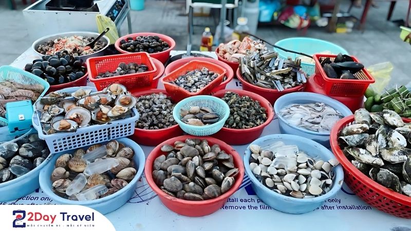 Đừng Bỏ Lỡ: Nha Trang ăn ốc ở đâu Ngon – Rẻ – Sạch Nhất? 7 Đừng Bỏ Lỡ: Nha Trang ăn ốc ở đâu Ngon – Rẻ – Sạch Nhất?