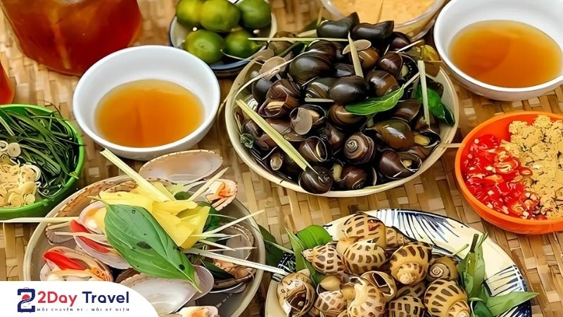 Đừng Bỏ Lỡ: Nha Trang ăn ốc ở đâu Ngon – Rẻ – Sạch Nhất? 8 Đừng Bỏ Lỡ: Nha Trang ăn ốc ở đâu Ngon – Rẻ – Sạch Nhất?
