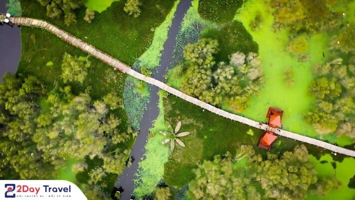 Cầu Tre Vạn Bước – Checkin Cầu Tre Dài Nhất Việt Nam