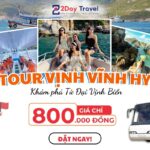 Tour Nha Trang - Vĩnh Hy (Trong ngày)