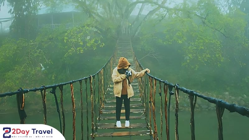 Cầu Mây – Cây Cầu Tình Yêu: điểm du lịch nổi bật ở thị trấn Sa Pa